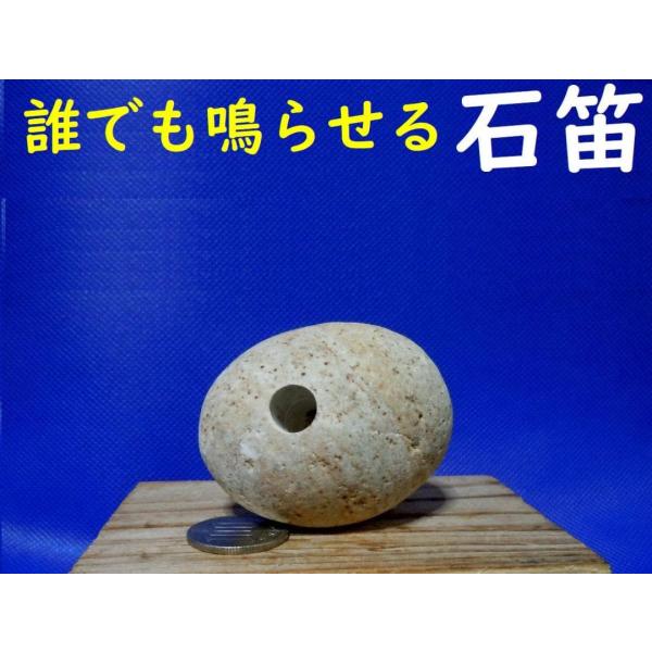 [Release date: November 25, 2025]