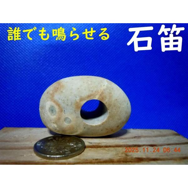 [Release date: November 24, 2025]