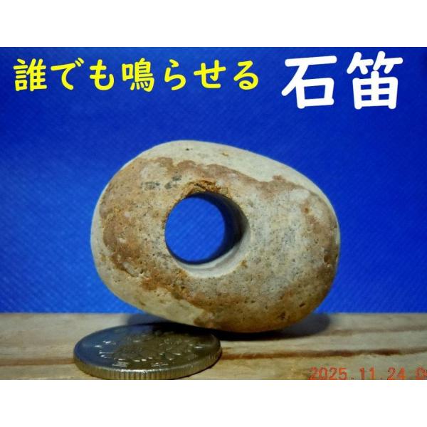 [Release date: November 24, 2025]