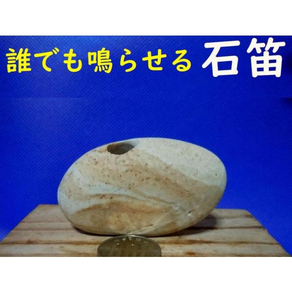 [Release date: November 25, 2025]