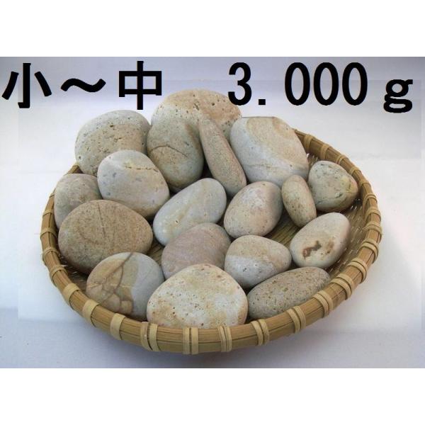 [Release date: June 26, 2025]■商品名　　姫川薬石　　３，０００ｇセット　B■産地　　　新潟県糸魚川市■種別　　　姫川薬石　鉱物名：流紋岩質凝灰岩■重量　　　　　　　　　　　　　３，０００　ｇ強　　　　50g〜３...