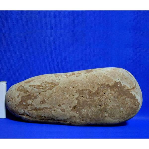 [Release date: January 20, 2026]