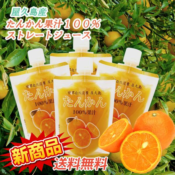 国産 屋久島 たんかんジュースパウチ入りタイプ 無添加100