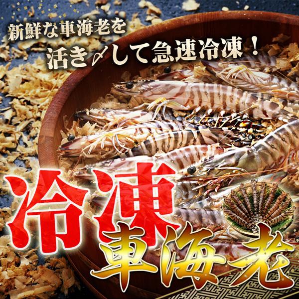 ⓀԊCV 2LTCY i600g 18`24j