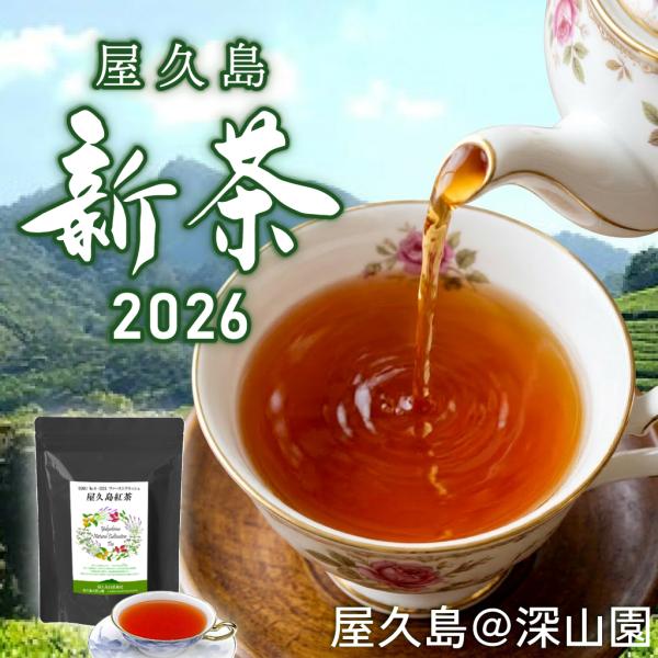 水出しもできる 屋久島紅茶 ファーストフラッシュ Osaki No.4/2026 80g 無農薬 無化学肥料 残留農薬・飛散農薬ゼロ 屋久島 自然栽培 アイスティー