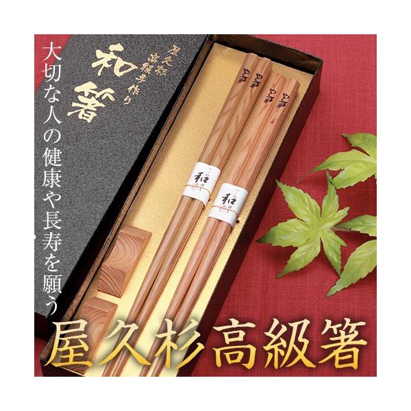 【素材】屋久杉世界自然遺産の屋久島に自生する「屋久杉」は樹齢１０００年以上の杉を屋久杉と呼びます。岩場にそびえ立つ屋久杉は少ない養分でゆっくりと成長し、厳しい風雨にも耐えながら長い時を過ごしてきました。その事から長寿、無病息災、厄除けなど森...