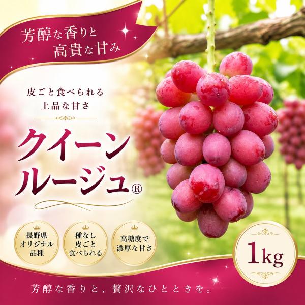 【長野県産】 クイーンルージュ（R） 1kg 通常品 種なし 皮ごと食べられる 赤ぶどう 甘い 高糖度 ぶどう 産地直送 10月上旬から順次発送 予約受付中
