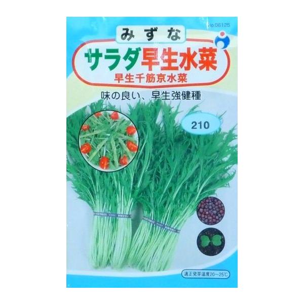 水菜種サラダ早生水菜千筋京水菜ウタネ Buyee Buyee 提供一站式最全面最專業現地yahoo Japan拍賣代bid代拍代購服務bot Online