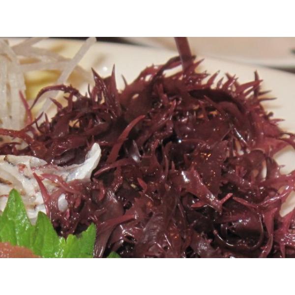 海藻塩蔵とさかのり赤または青 ポスト便対応 １個のみ 海草 サラダ 刺身 ツマ 常温 Buyee Buyee 提供一站式最全面最专业现地yahoo Japan拍卖代bid代拍代购服务 Bot Online