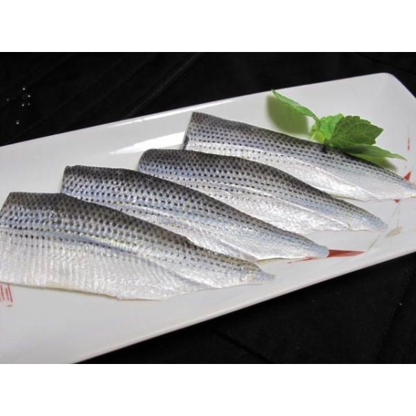 こはだ 検索ランキング注目度順 こはだ 総合