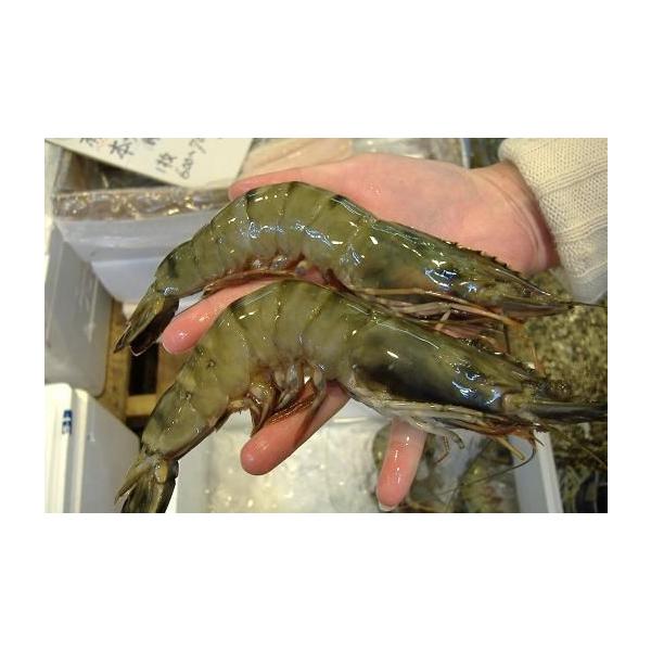 LCV ubN^CK[@20yN[ցz