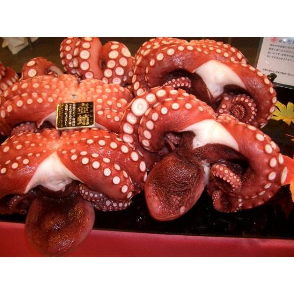 {C@@800gOy^R/Ă/DݏĂzyN[ցz