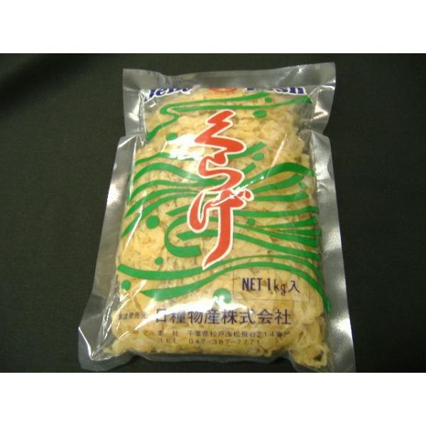 炰 @Pjy^[pbNΉi@Pz