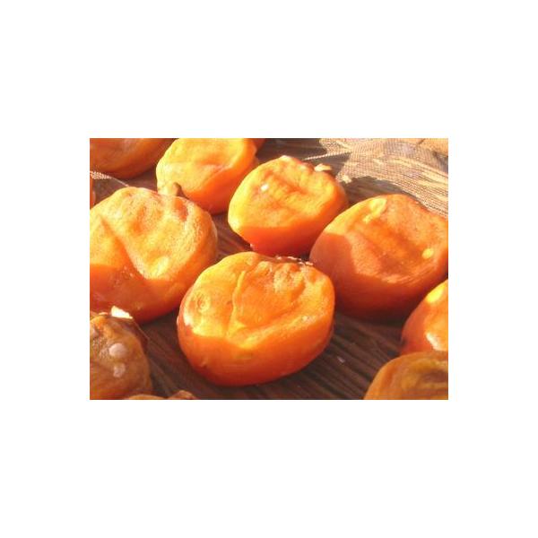 RYۊ`(LL6/LL9/L12jyiJzBOX10{ES11{蔭\