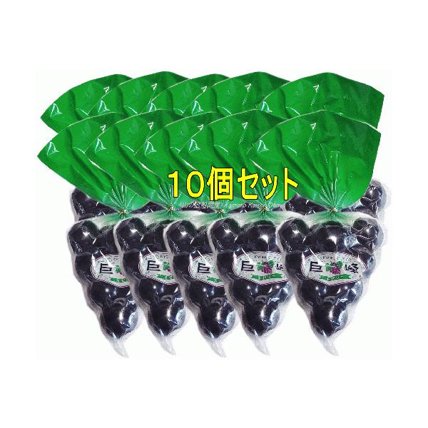 ЂƂ[[iPOZbgjVKiEP10ʓ