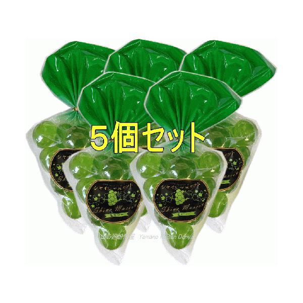 VC}XJbgʃ[[iP10ʓjTZbg  ЂƂʃ[[ ʃ[[ ܂悤 ʃ[[