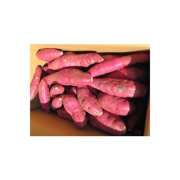 山梨産さつまいも あけの金時 5ｋｇ箱 直送品a Kintoki 山の廻船問屋 通販 Yahoo ショッピング