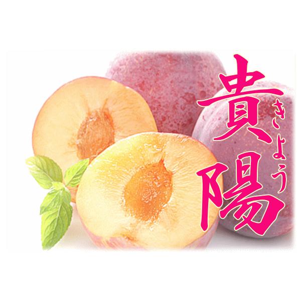 貴陽/きよう」1.5kg箱（大玉5-7玉入） 南アルプス市 貴陽栽培の