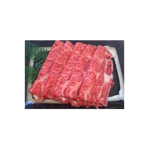 bBCr[tMtgi[XĂpjv1kyiMz