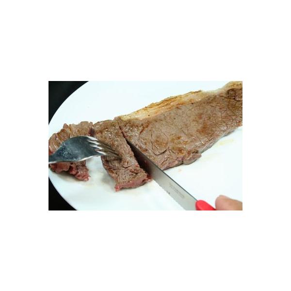 bBCr[t MtguT[CXe[LvR؂荇v600yiMz