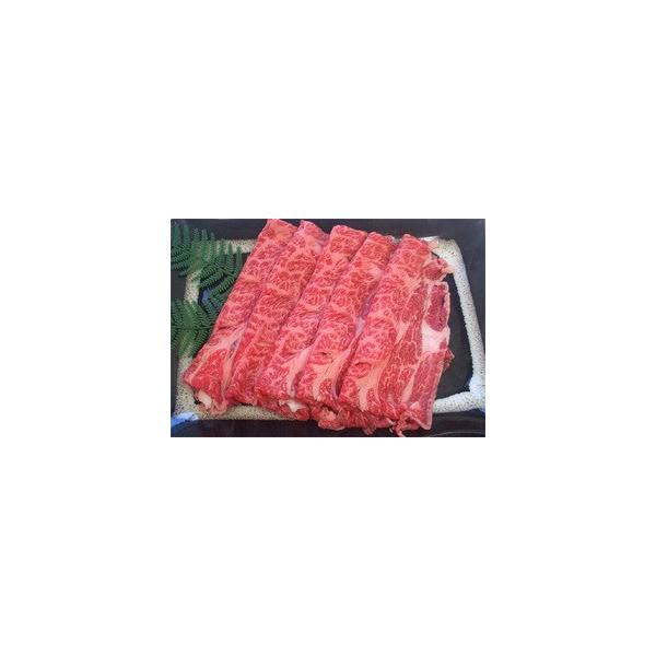 bBCr[tu[XĂpv500yiMz