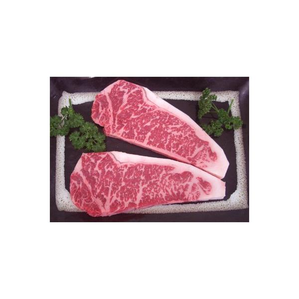 bBCr[tuT[CXe[Lv؂Qv400yiMz