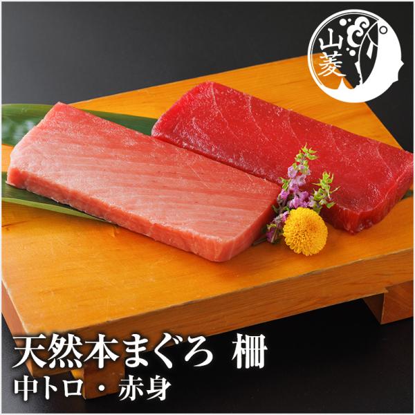 天然本まぐろ 柵 アイルランド沖 中トロ・赤身 各200g 刺身用 ギフト 簡単解凍 本マグロ
