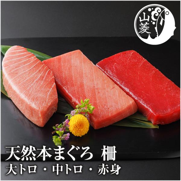 天然本まぐろ 柵 アイルランド沖 大トロ・中トロ・赤身 各200g 刺身用 ギフト 簡単解凍 本マグロ