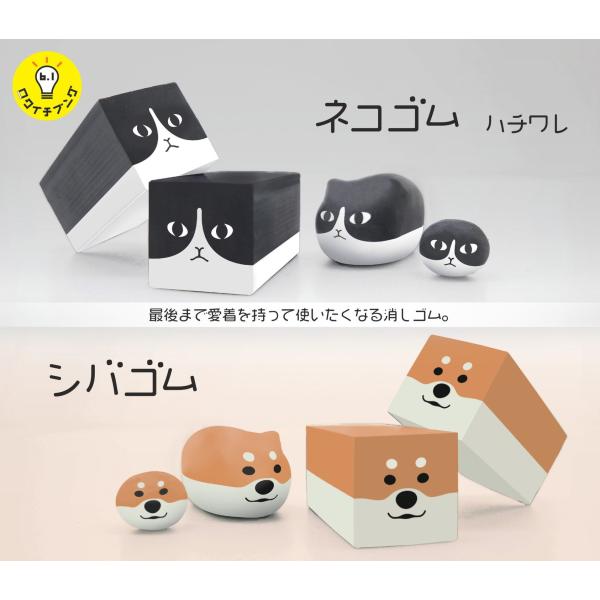 サンスター文具 最後まで愛着を持って使いたくなる消しゴムネコゴム