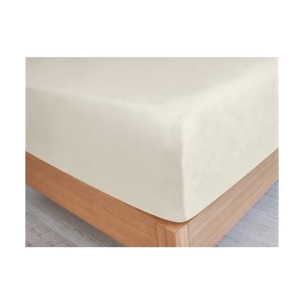 ��ˉƋ� �{�b�N�X�V�[�c �t���r�[�v���X IVWDL [���C�h�_�u�������O] �� �R�b�g�� �R�ۖh�L���H �A�C�{���[