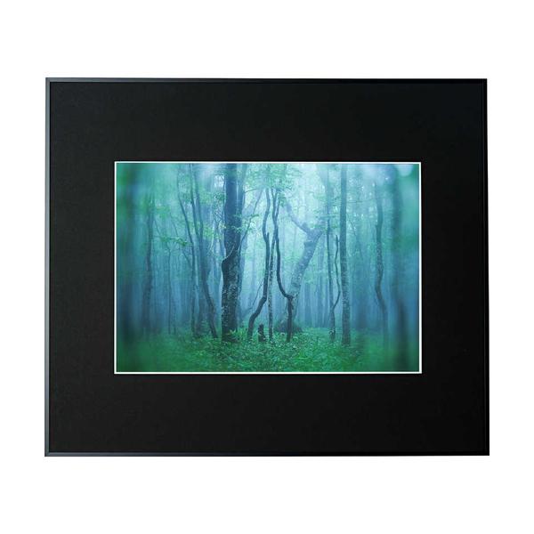 ギヤラリ-AGY-A3-BK　ケンコー　ギャラリー　A3　ブラック　AGY-A3-BK 317