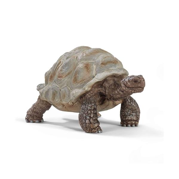 他サイト： シュライヒ ゾウガメの商品画像