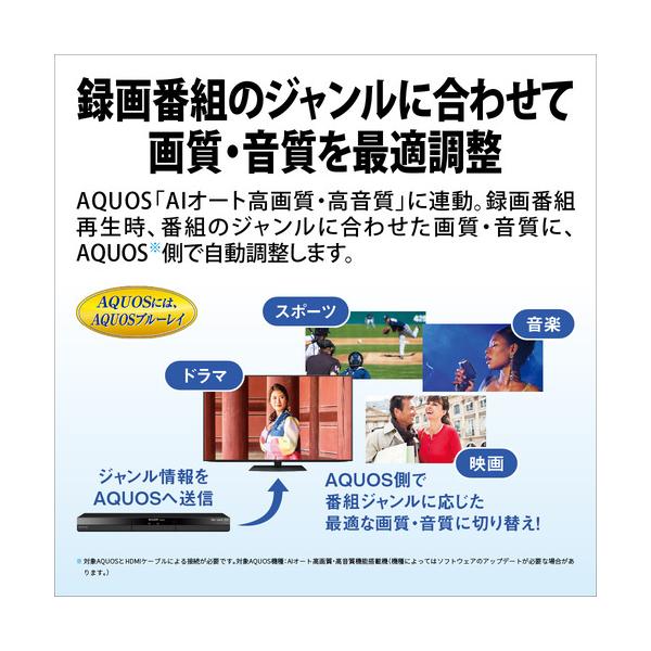 yamada-denki_264077015_2_d_20240606161809