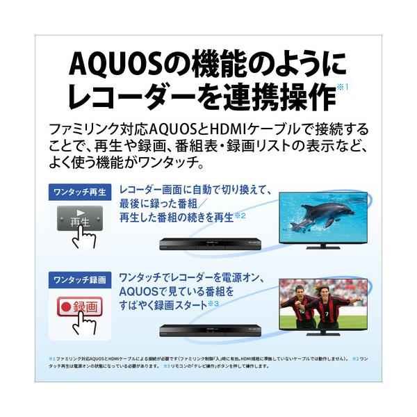 yamada-denki_264077015_3_d_20240606161808