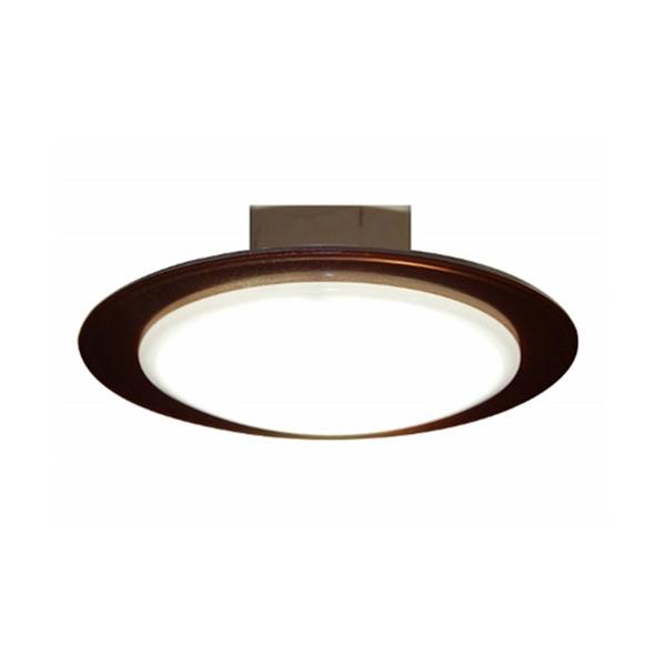 スワン CE-1004BR LED小型シーリング 昼白色