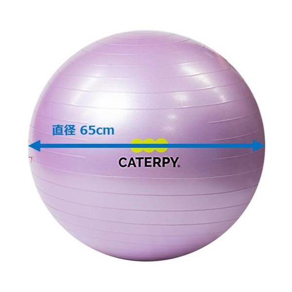 CATERPY CF-010 フィットネスボール65cm バイオレット