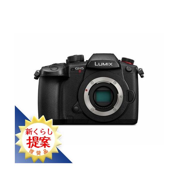 パナソニック DC-GH5M2 デジタル一眼カメラ DCGH5M2 : ヤマダデンキ