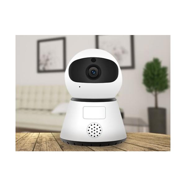 FUGU INNOVATIONS JAPAN FG-SCAM03-2-WH LANڑ ^lbg[NJ SCAMV[Y zCg