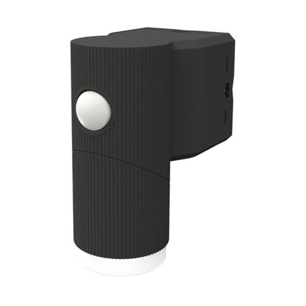 TV LEDCY130 LEDZT[Cg RITEX