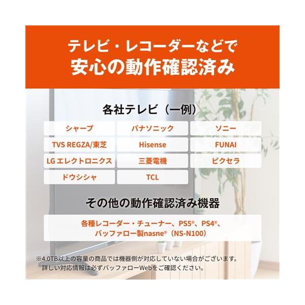 yamada-denki_7156181010_4_d_20241129130606