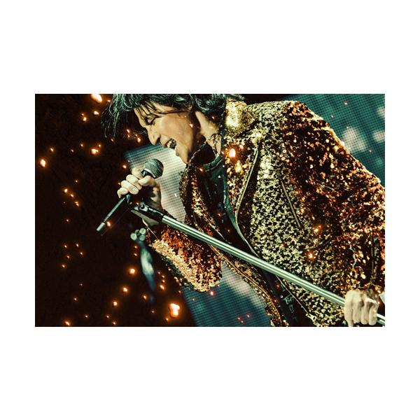 DVD】稲葉浩志 ／ Koshi Inaba LIVE 2024 〜 | JChereヤフー