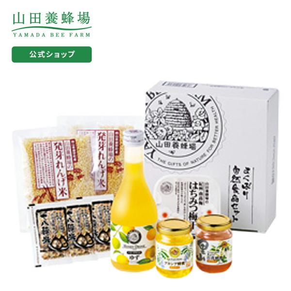 Rc{I 悭΂莩RHiZbg 1Zbg ݂͂ Mtg Ε