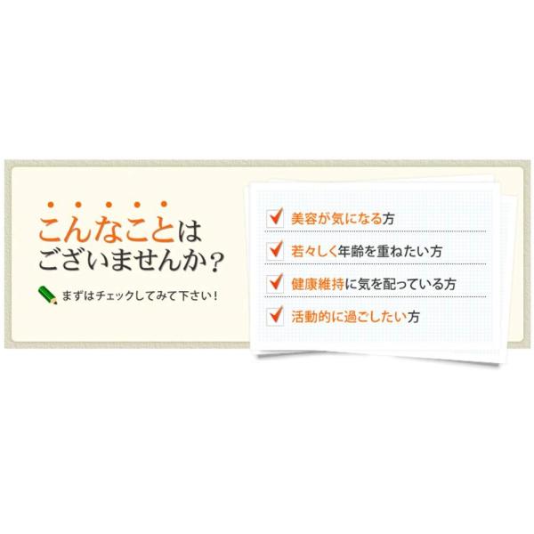 �R�c�{�I�� �Z�T�~�� 1�� �i60��) �M�t�g �v���[���g ���N�H�i �l�C ���N �h�V�̓� ���i�摜2