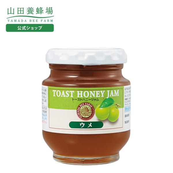 Rc{I g[Xgnj[WE 160g ݂͂ Mtg Ε