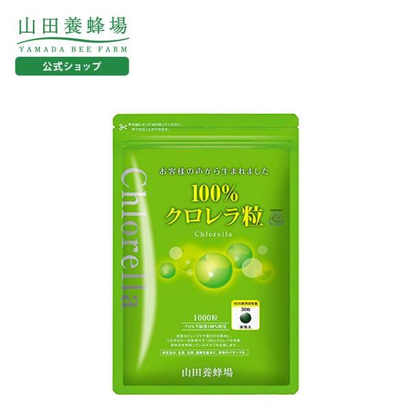 Rc{I 100N 1000/ܓ Mtg v[g NHi lC N Ε