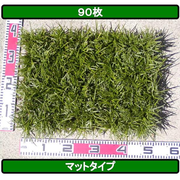 たまりゅう  玉竜 タマリュウ たまりゅう90枚【タマリュウ.com