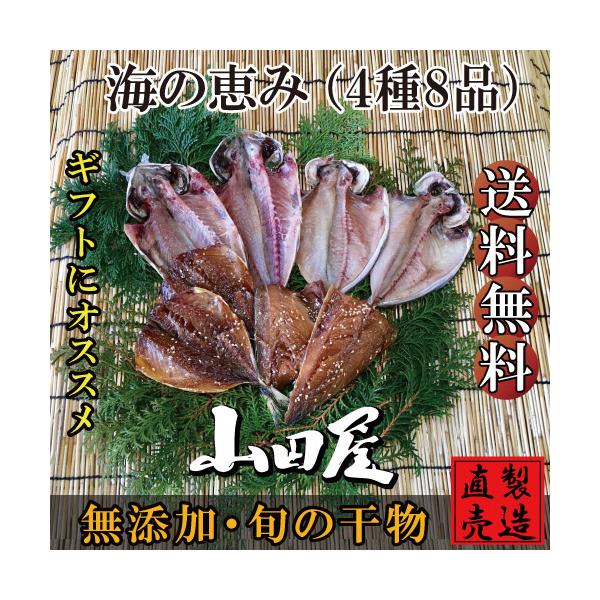 夏ギフト お中元 干物 伊豆 海産物 海の恵み 4種8品 詰め合わせ セット あじ えぼだい お年賀 父の日 母の日 敬老の日 プレゼント ギフト ひもの