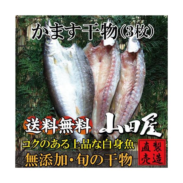 かます 干物（3枚）国産 カマス 自家製 無添加 製造直売 ひもの 海産物 伊豆 山田屋海産