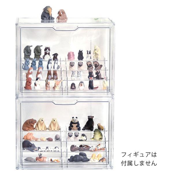 2個セット〕 コレクションケース 約幅365mm ラダー付き クリア 階段