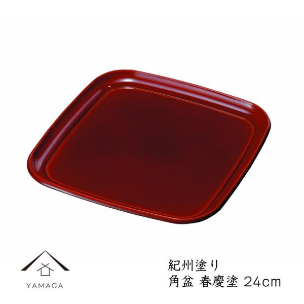 ~ g[  p~ IBʏtch 24cm zV~ IB